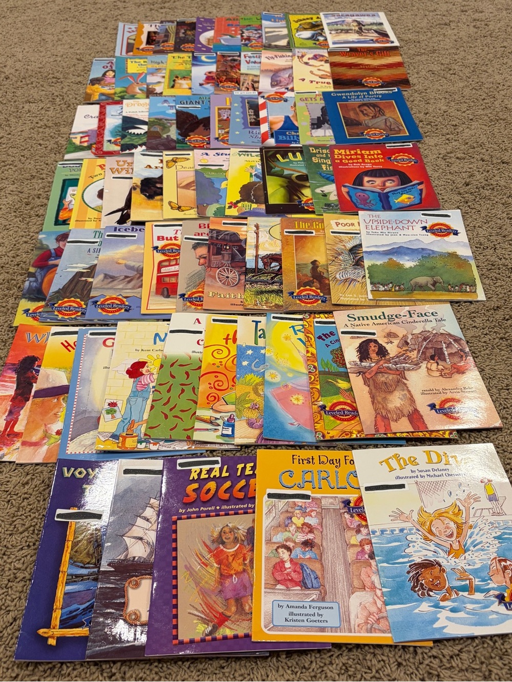 Houghton Mifflin Leveled Readers Level  3  Lot of 65 - 2004
